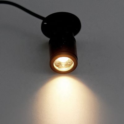 রঙের তাপমাত্রা সামঞ্জস্যযোগ্য 3W আধুনিক LED স্পট লাইট