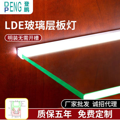 উষ্ণ সাদা প্রাকৃতিক আলো সঙ্গে LED আধুনিক অ্যালুমিনিয়াম একক গ্লাস শেল্ফ আলো
