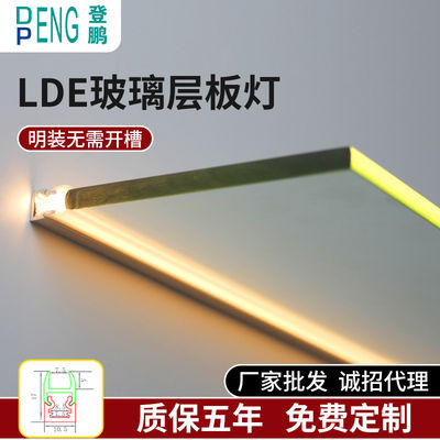 12VDC একক গ্লাস শেল্ফ LED আলো প্রদর্শন স্ট্যান্ড জুয়েলারী শোকেস জন্য