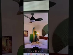 নেতৃত্বাধীন সিলিং ফ্যানের আলো, ভালো মানের, সেরা বিক্রেতা